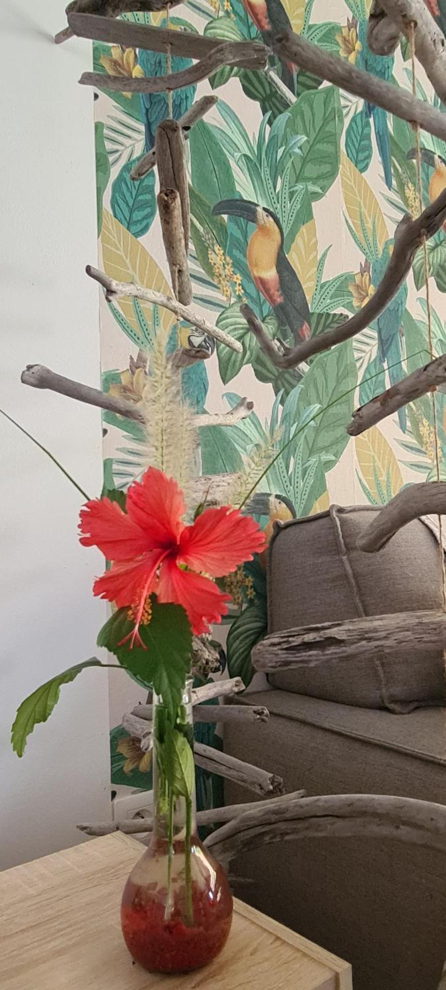 Coquet Appartement A 50 M Du Lagon Étang-Salé les Bains Esterno foto